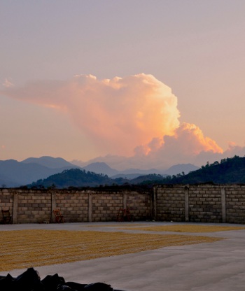 El Triunfo Patio.jpg