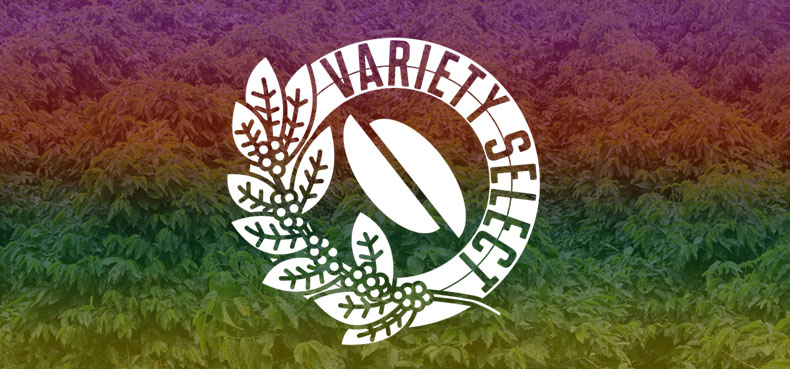 Variety Select Header_blog.jpg